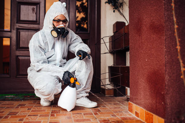 Reliable Cockroach Control contractor in Bothell West, WA by Nex Pest Control